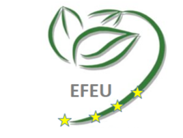 Logo EFEU