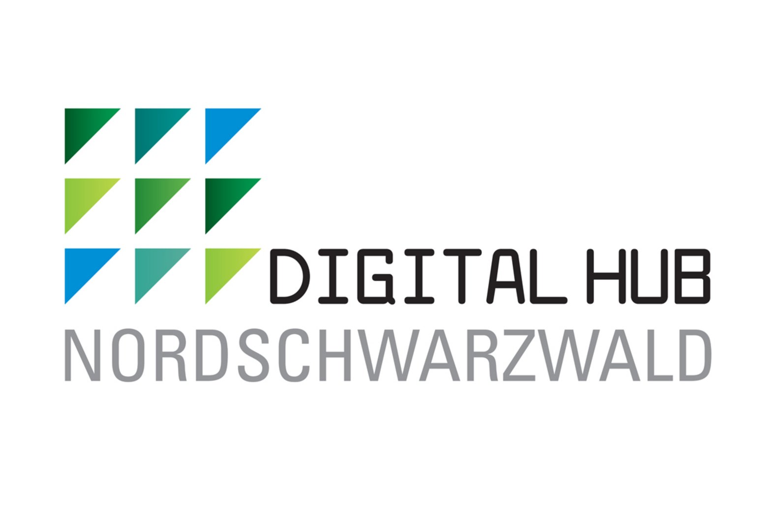 Logo Digital Hub Nordschwarzwald