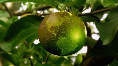Darstellung der Weltkugel als Apfel, der an einem Baum hängt.