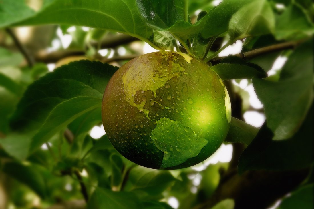 Darstellung der Weltkugel als Apfel, der an einem Baum hängt.