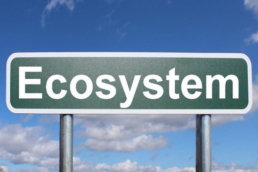 Schild mit der Aufschrift Ecosystem