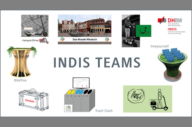 Grafik zur Zusammenstellung der INDIS Teams