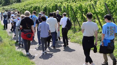 CADE-30 - Spaziergang durch die Weinberge