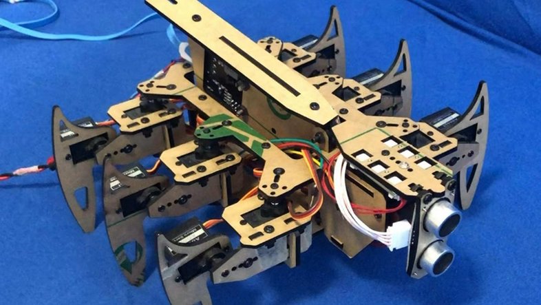 Ansicht des realen Roboters Hexapod 