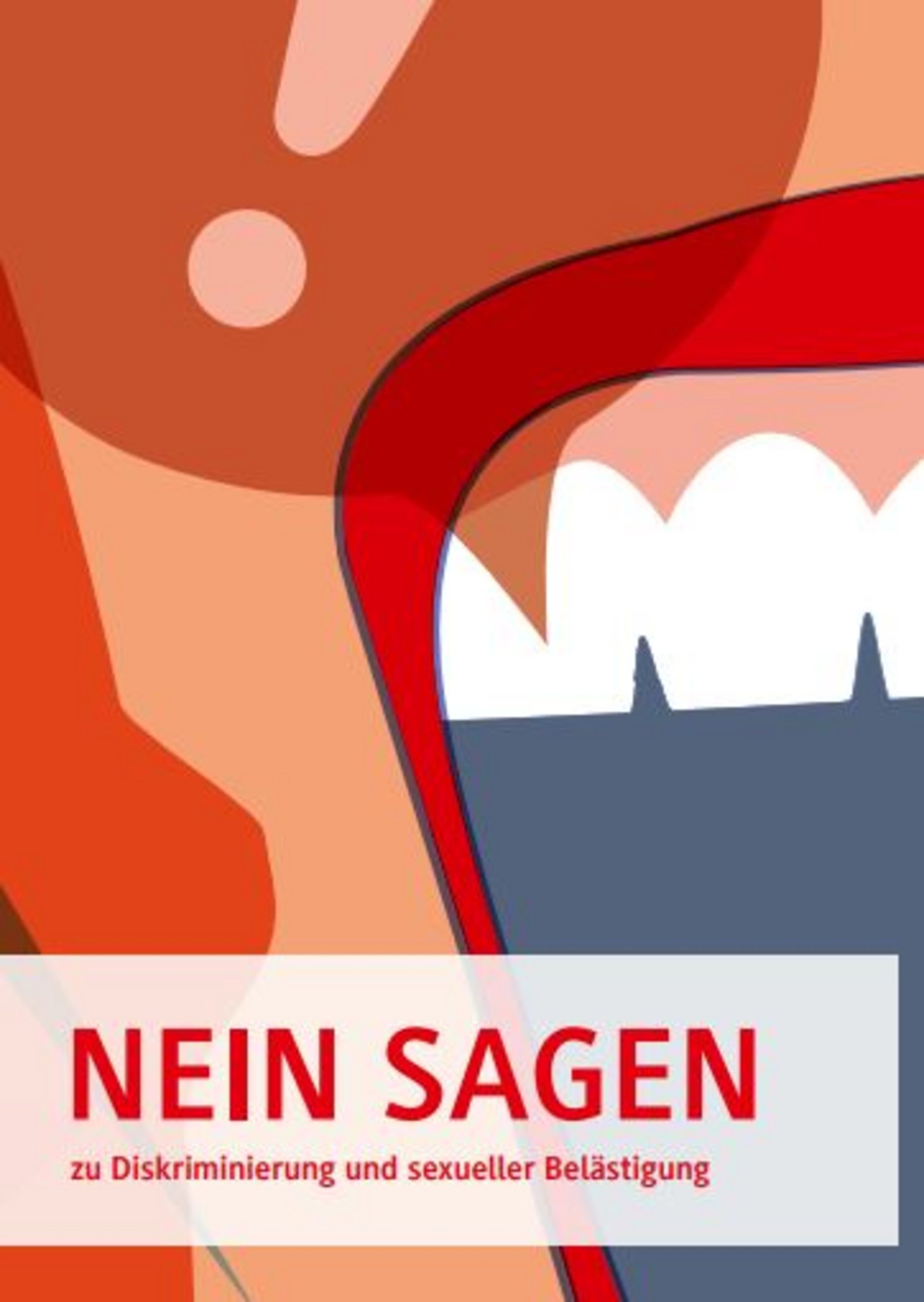 Titelbild und Flyer NEIN SAGEN