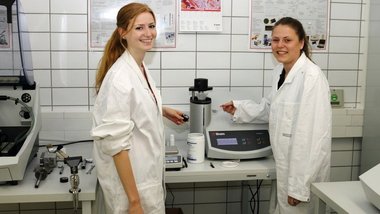 Studentinnen bei Vorbereitungen im Labor