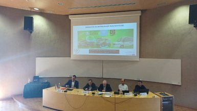 Presenters at the Leiria City Council Presenters at the Leiria City Council