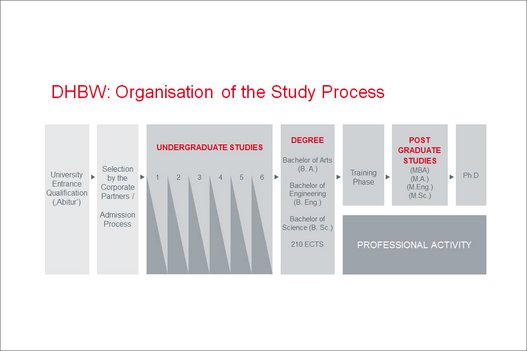 Organisation of the Study Process