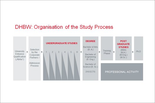 Organisation of the Study Process Organisation of the Study Process