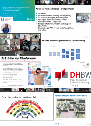 Collage aus beispielhaften Foliensätzen der Referentinnen zum Thema Pflegewissenschaften