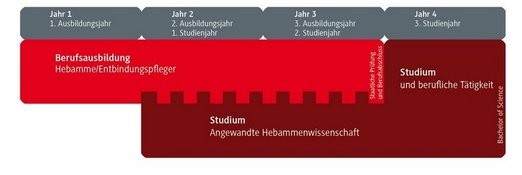 Skizze des gesamten Studienverlaufs