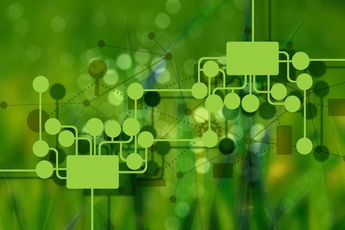 Empowerment-orientierte Führung, umweltorientierte Unternehmenskultur, umweltorientiertes Verhalten, Nachhaltigkeit
