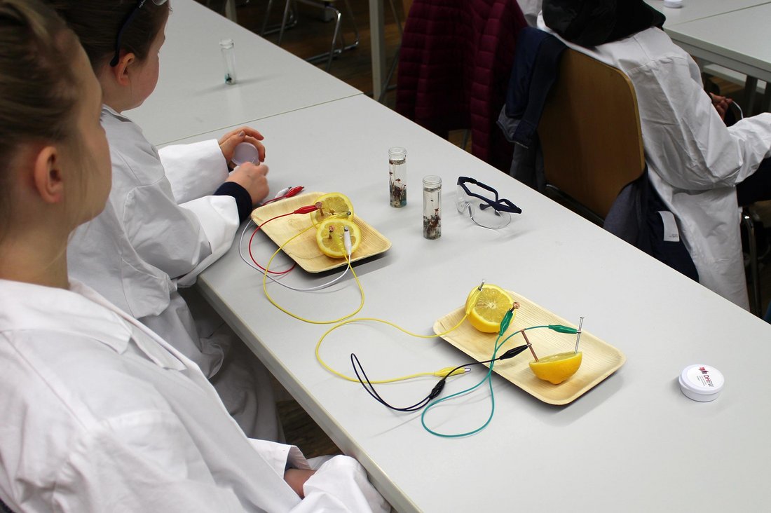 Bei der Kinderakademie werden Zitronenbatterien gebaut.