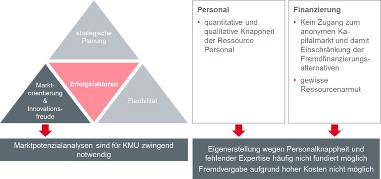 Schematische Darstellung REMAPS